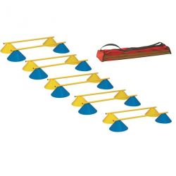 Haie multi fonction soucoupes hauteur 5cmlot de 10