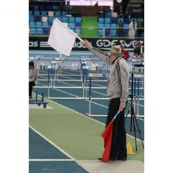 Drapeaux de juge blanc/rougela paire