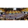 Piste de course surelevee element de longueur 2.50m x largeur 1.22 m