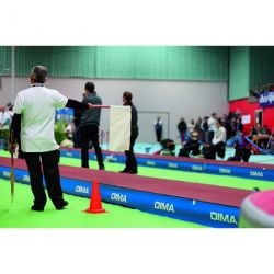 Portable raised running track unit with integrated vault box 2.50 x 1.22 m