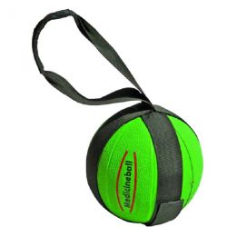Medicine ball support belt