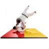 I.J.F. COMPETITION JUDO TATAMI 200X100X5CM - DIMASPORT