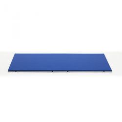 TATAMI JUDO ENTRAINEMENT 200X100X4CM - DIMASPORT
