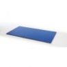 TATAMI JUDO ENTRAINEMENT 200X100X4CM - DIMASPORT