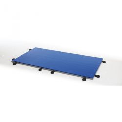 TATAMI JUDO ENTRAINEMENT 200X100X4CM - DIMASPORT