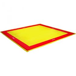College reversible wrestling/judo mats