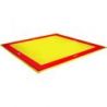 College reversible wrestling/judo mats