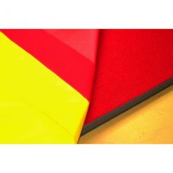 College reversible wrestling/judo mats