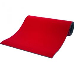 College reversible wrestling/judo mats