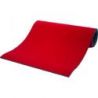 College reversible wrestling/judo mats