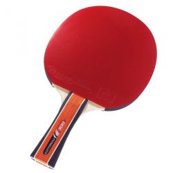 Sport 300 cornilleau leisure bat