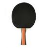 Sport 300 cornilleau leisure bat