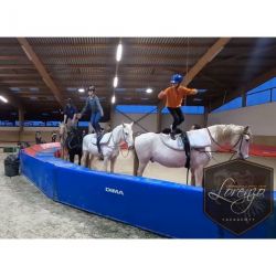 CERCLE EN MOUSSE DE SÉCURITÉ - VOLTIGE ÉQUESTRE | DIMASPORT
