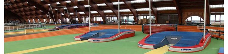 POLE VAULT LANDING SYSTEM AND AREAS |TRACK EQUIPMENT | DIMASPORT