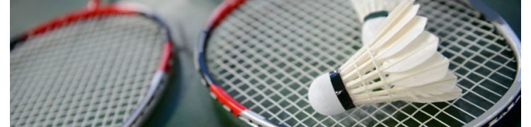 Badminton equipment for clubs and schools