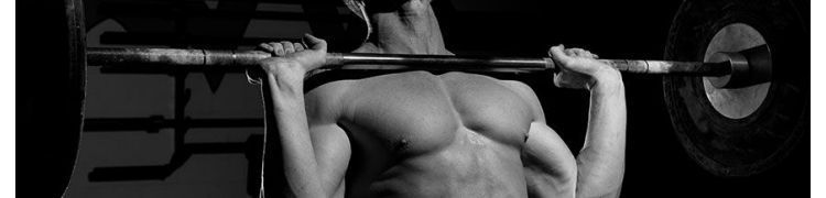 EQUIPEMENT DE MUSCULATION 